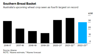澳大利亚即将迎来小麦大丰收，迎接饥饿的世界