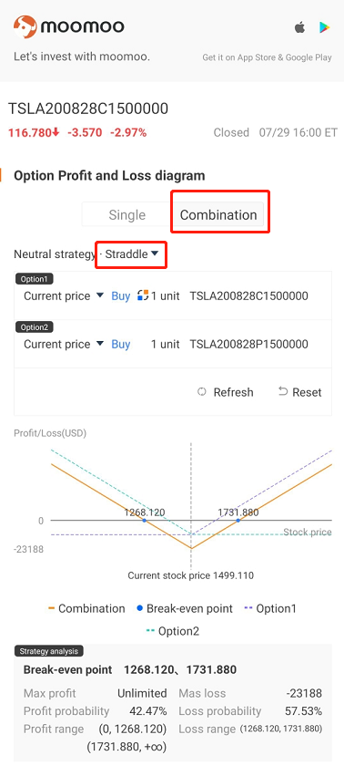 What a option straddle in Tesla will 