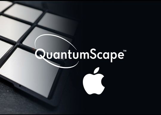 Is QuantumScape and Apple the two companies that we should expect to domimate EV in 2025?