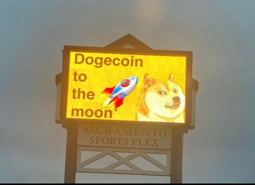BE KIND TODAY, ADOPT A DOGE!