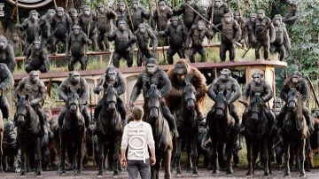 APES STAND TOGETHER
