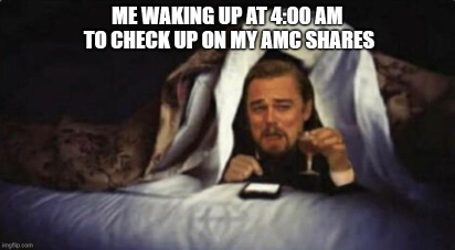 me waking up at 4:00am to check up on my AMC shares