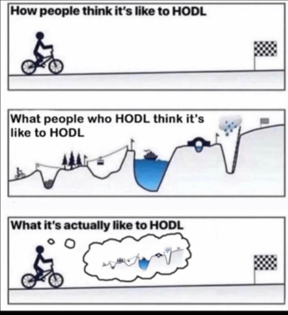 HODL... 60、70 140... 都是通往月球的台阶！