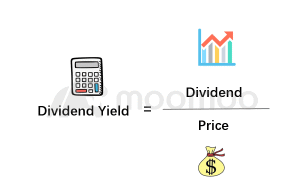 How to calculate the dividend return of a stock investment?