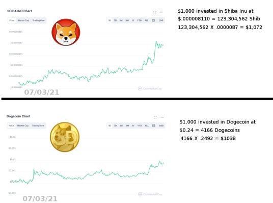 Shiba Inu is outperforming Dogecoin. Maybe everyone should take notice of this, and soon.