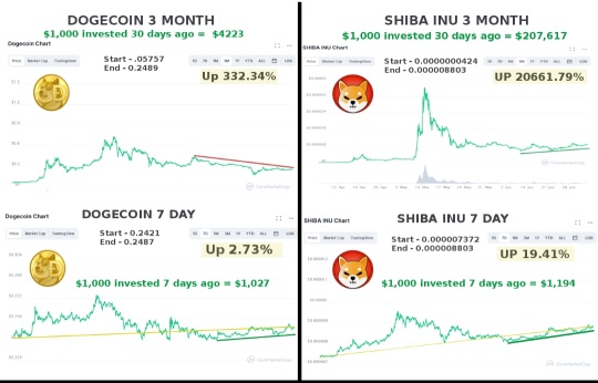 July 5th Update: Shiba Inu outperforms Dogecoin in both 7 and 90 day gain. Crypto is hot.