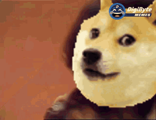 Daily Poll: Elon Musk says Dogecoin is a better currency than Bitcoin.