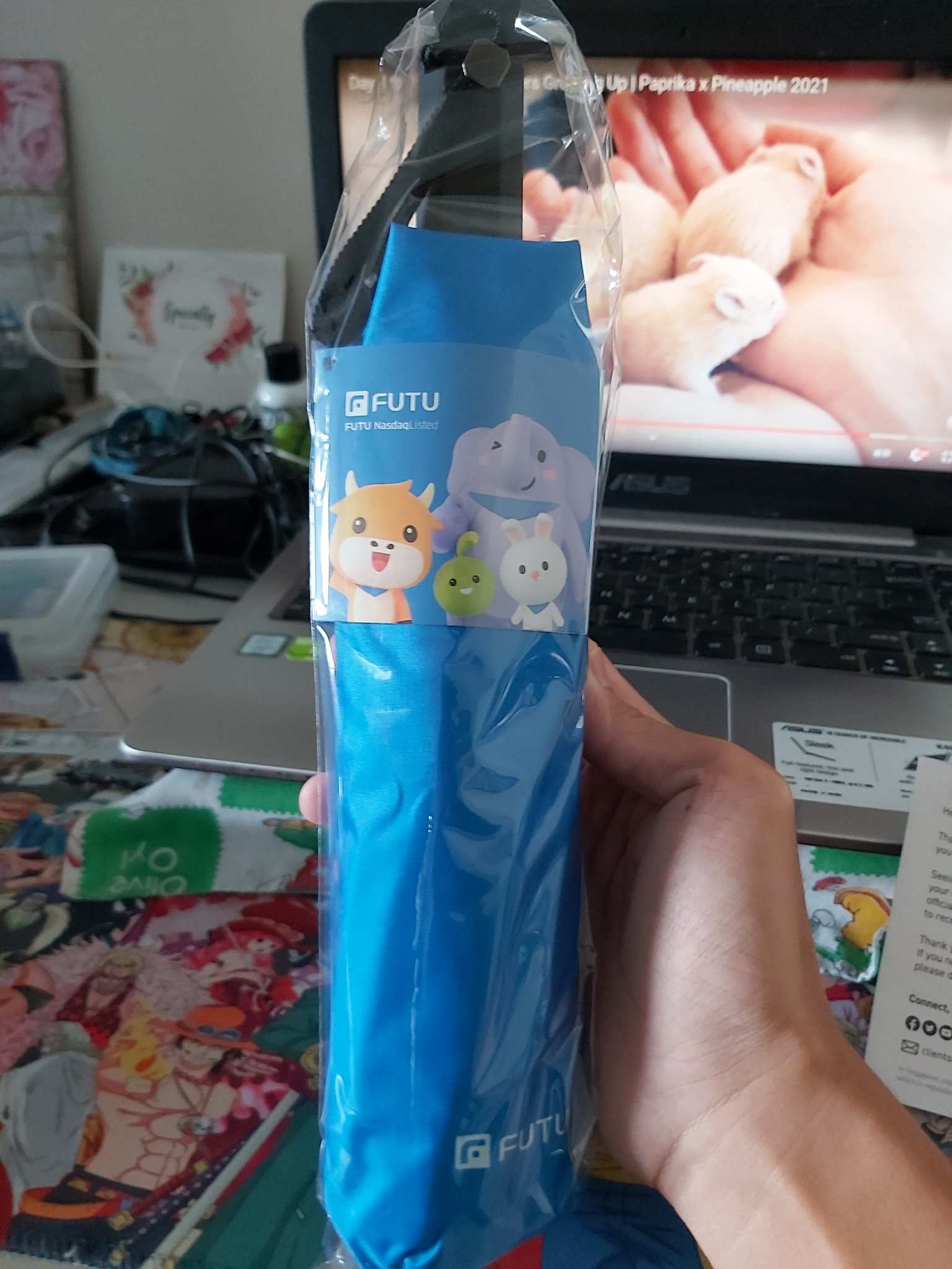 Nice Umbrella received!