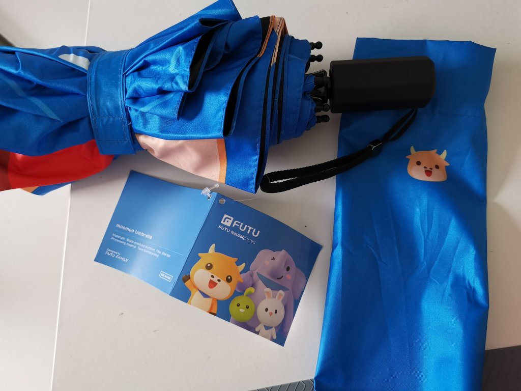 What a coincidence! MooMoo umbrella was arrived in a rainy day (the last day of 2021)