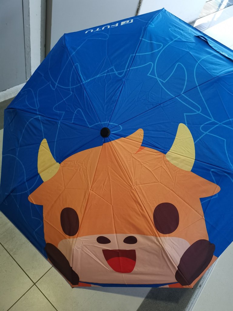 何という偶然！MooMoo傘が雨の日に届きました（2021年の最後の日）