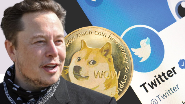 Why Dogecoin Is Up 8% Today