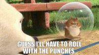 MooHumor: Roll with the punches
