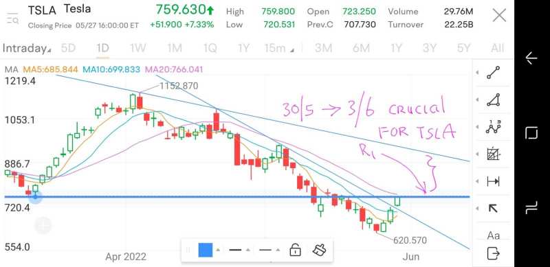 Weekly Buzz: New rally amid a bear market