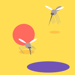 登革熱疫情：在「有望的」成果後，沃爾巴奇亞蚊子項目將擴展至 1400 個 HBD 區塊