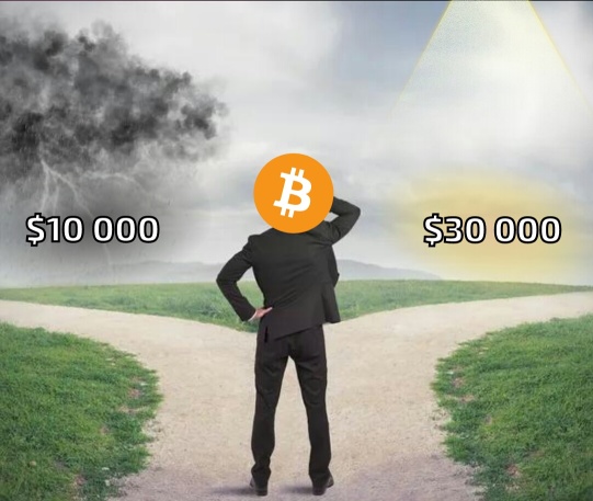 BTC Is More Likely to Tumble To $10,000 Than To Hit $30,000?