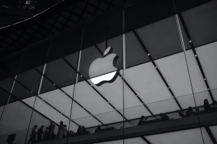 Why Apple Stock Rallied After The Recent Interest Rate Hike