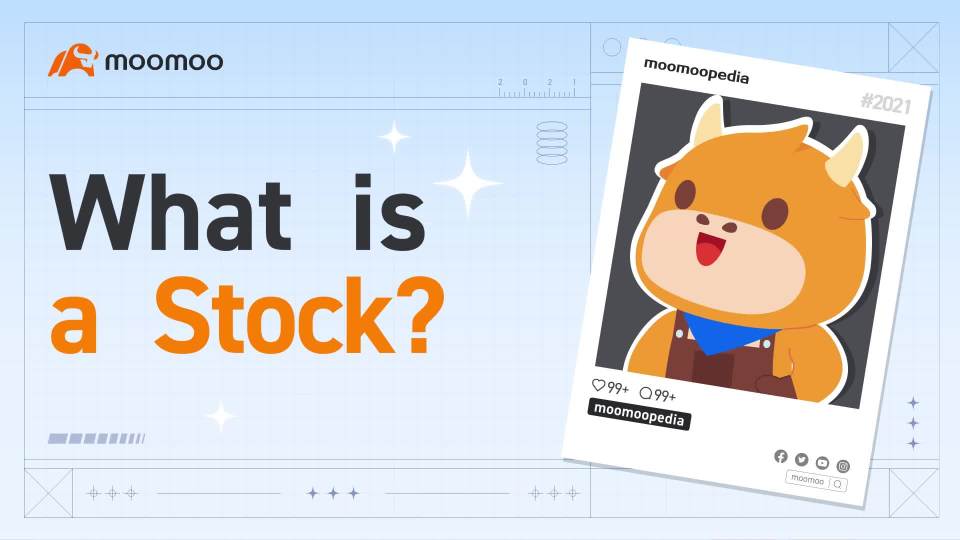 Everyday Power - What is a stock?