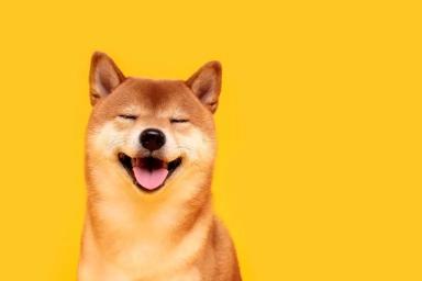 在抛售压力下，Shiba Inu 市值排名回落至第 13 位