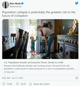 Musk: 'civilization is going to crumble' if people don't have more children
