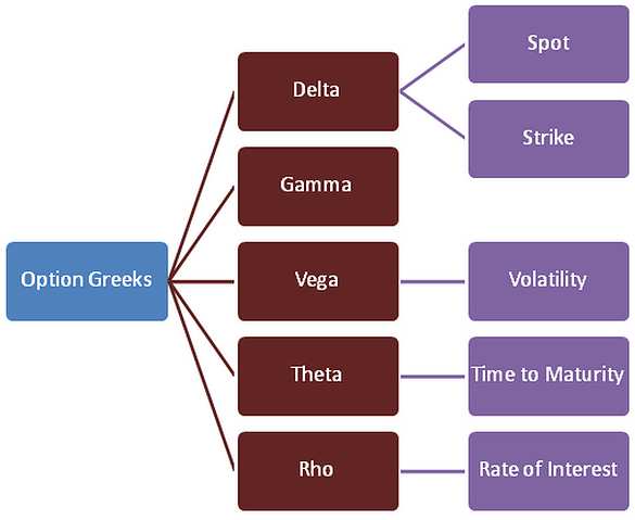 How do I use option Greeks?