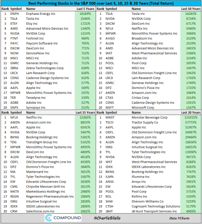 過去5、10、15、20年間のS&P 500の最も良いパフォーマンスを発揮した株式のリスト