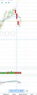 現在のMACDでテスラを空売りすることができます