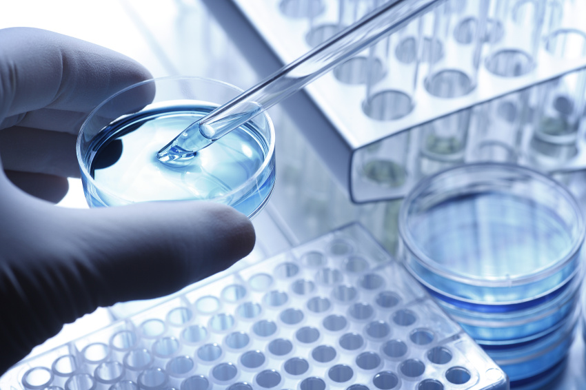 Pfizer plans to drive its future development through diversification, cost reduction, and growth | Pfizer Inc. (PFE) JPMorgan 14th Annual U.S. All Stars Conference (Transcript)