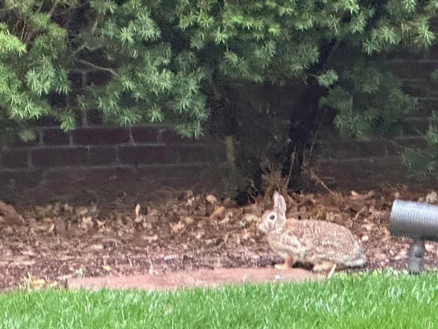 奥马哈旅行日记