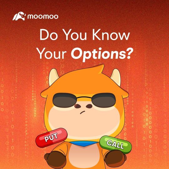 Options Journey:  Why options may give you more options?