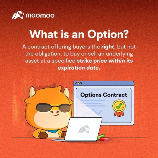 Options Journey: Why options may give you more options?