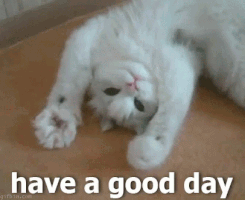Source: https://giphy.com