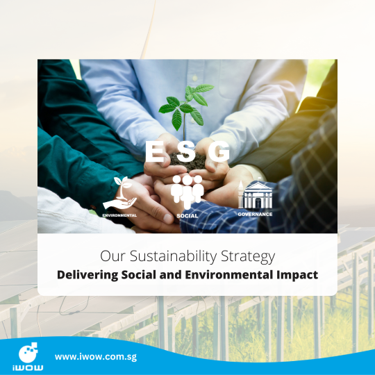 Our Sustainability Strategy - Delivering Social and Environmental Impact