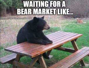 How to survive in a bear market