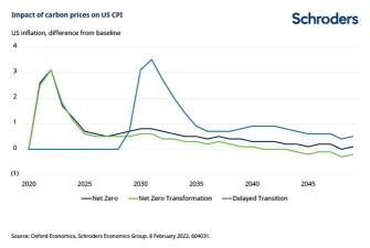 What net zero means for inflation