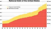 由于收益率低，当通货膨胀率上升时，美国国债的实际购买力可能会下降。