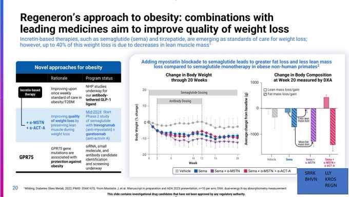 NHP data from $Regeneron Pharmaceuticals (REGN.US)$ 's new slide deck is very relevant for the weight loss space. Combining pure anti-Myostatin antibodies with ...