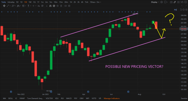 Tesla Price Predictions