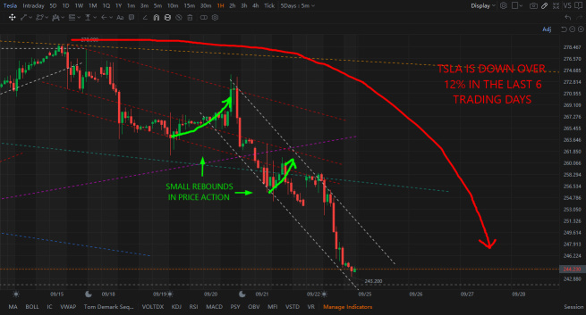 Tesla Price Predictions