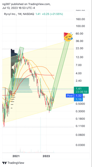 $RVYL another good day