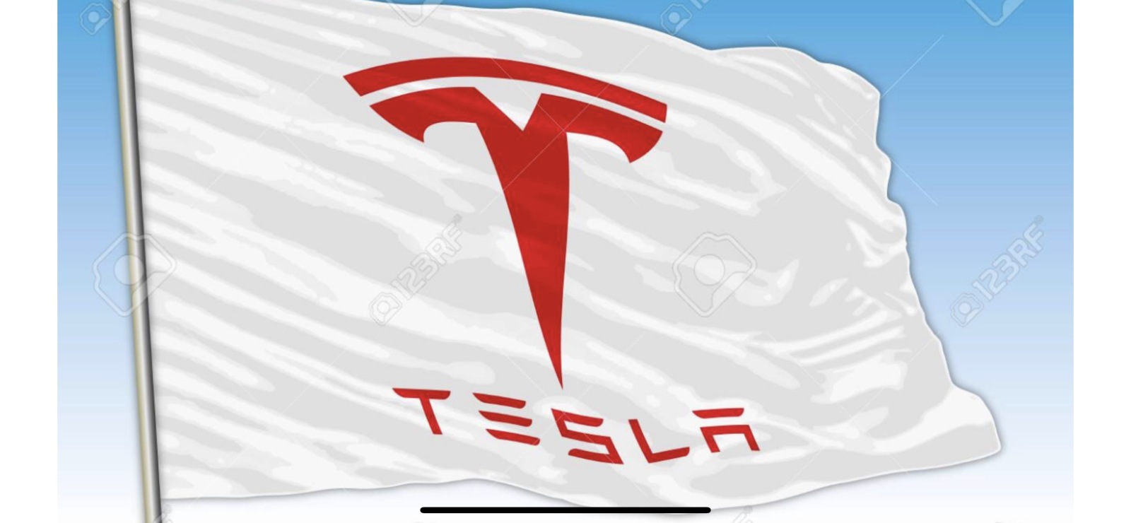 $テスラ (TSLA.US)$