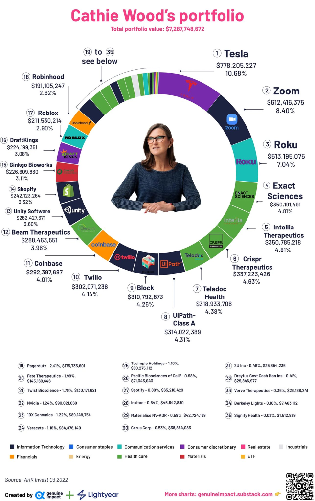 Warren Buffett vs Cathie Wood