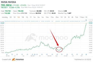 可憐的凱西·伍德錯過了整個 $NVDA 反彈