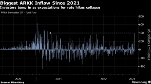 Cathie Wood’s ARKK Lures Biggest Inflow Since 2021 Glory Days