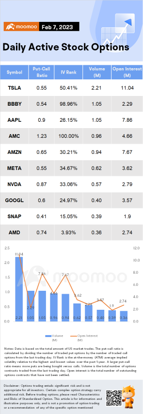 オプション市場の統計（2/7）：TeslaオプションのトレーダーはMuskよりも強気です