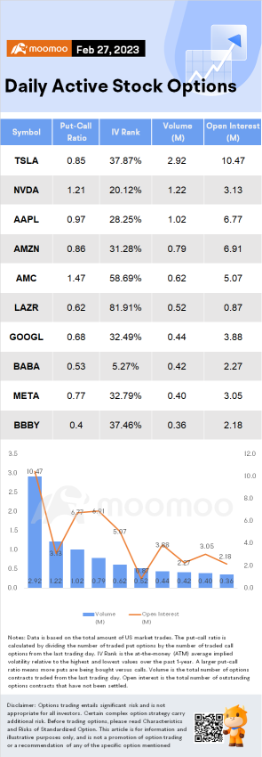 Options Market Statistics (2/27): Are Options Traders Betting on a Big Move in AMC Entertainment?