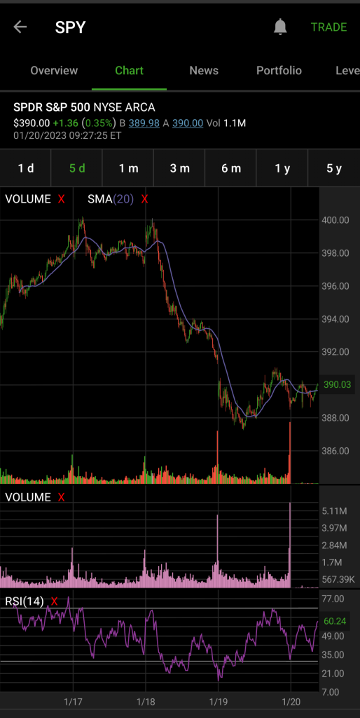 Volatility in the Market