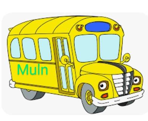 $Mullen Automotive(MULN.US)$ From 1 CEO 2 another, explore entry in school bus manufacturing arena. EV is future of public transportation i...