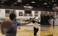 Bearish panda again receives balls to the face