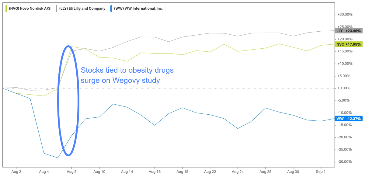 Weight-Loss Drug Craze: The Potential Winners and Losers