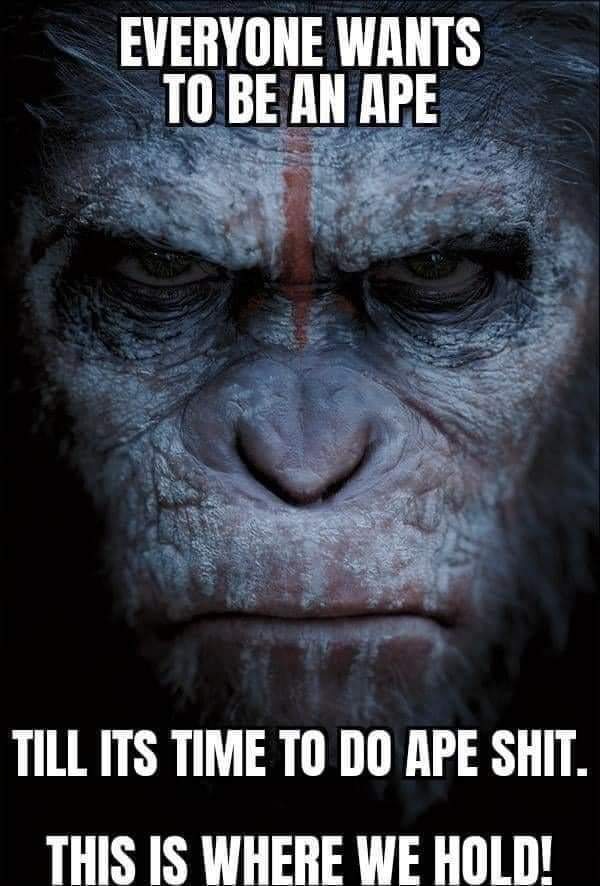 $AMC院线 (AMC.US)$$AMC Preferred Equity Unit (APE.US)$